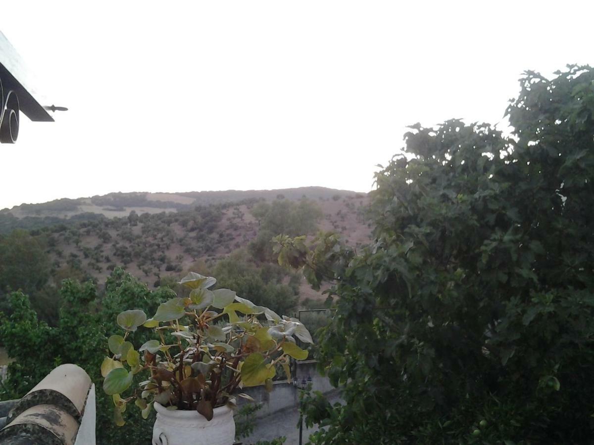 Casa Maria Luisa Βίλα El Bosque Εξωτερικό φωτογραφία